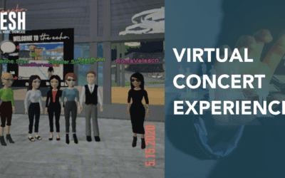 A Virtual Concert: Fun in Virtual Venues